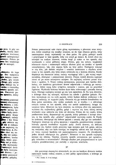 Kolumella - O rolnictwie tom II, Księga o drzewach - Kolumella II 206.jpg