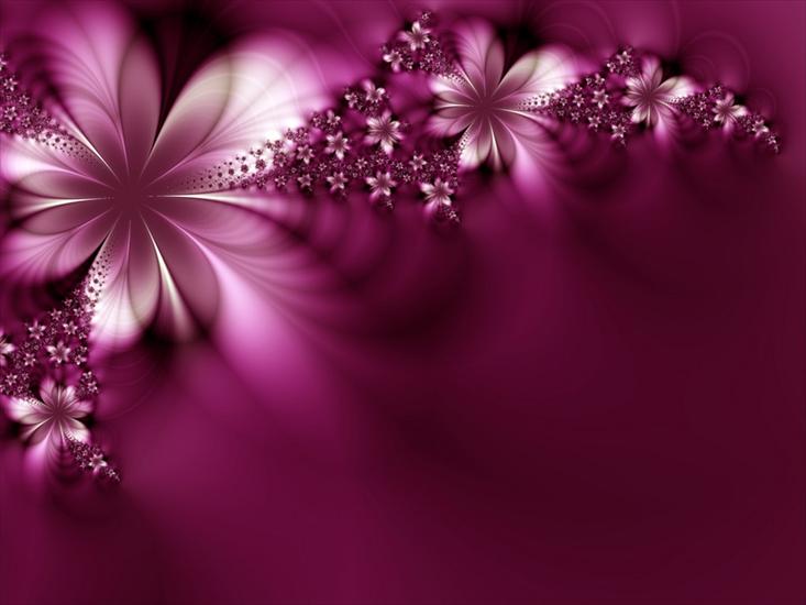 Przeróżne - flowers-purple.jpg