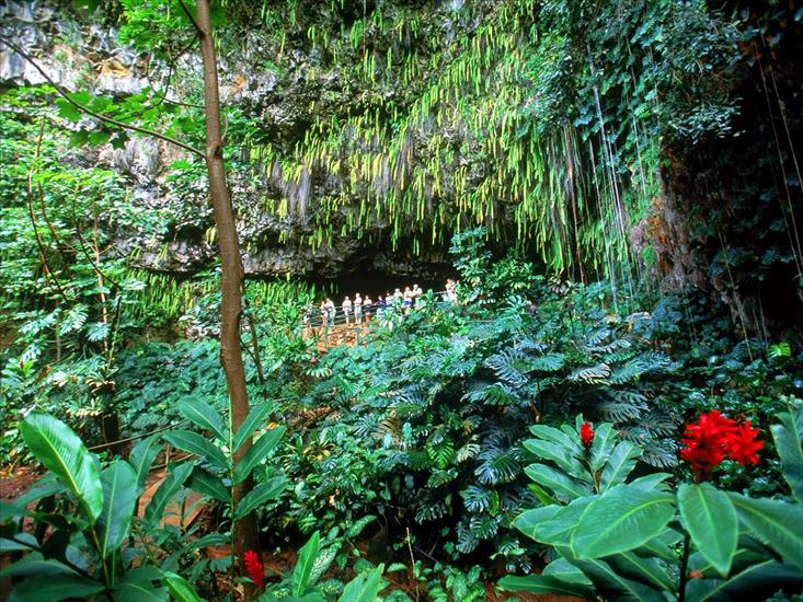 Stany Zjednoczone - Fern Grotto, Kauai, Hawaii1600x1200.jpg