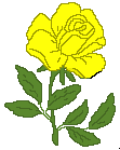 Róże żółte - yg22.gif